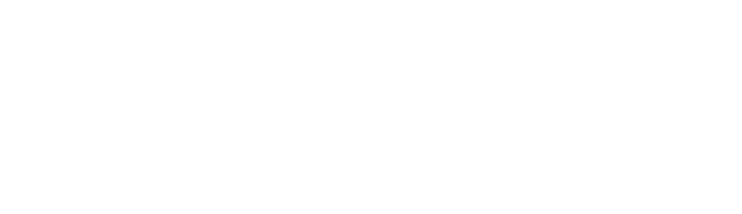 VinylStore Logo